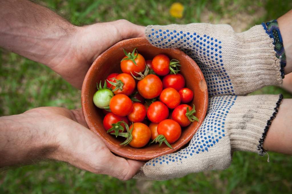 jardin partage mieux manger candide