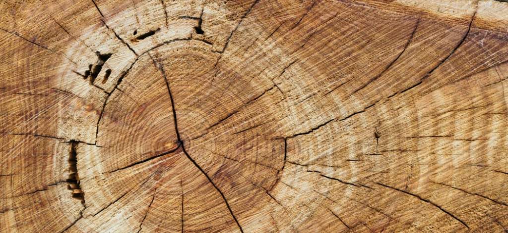 materiaux de construction écologiques bois